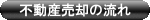 �s���Y���p�̗���