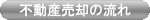 �s���Y���p�̗���